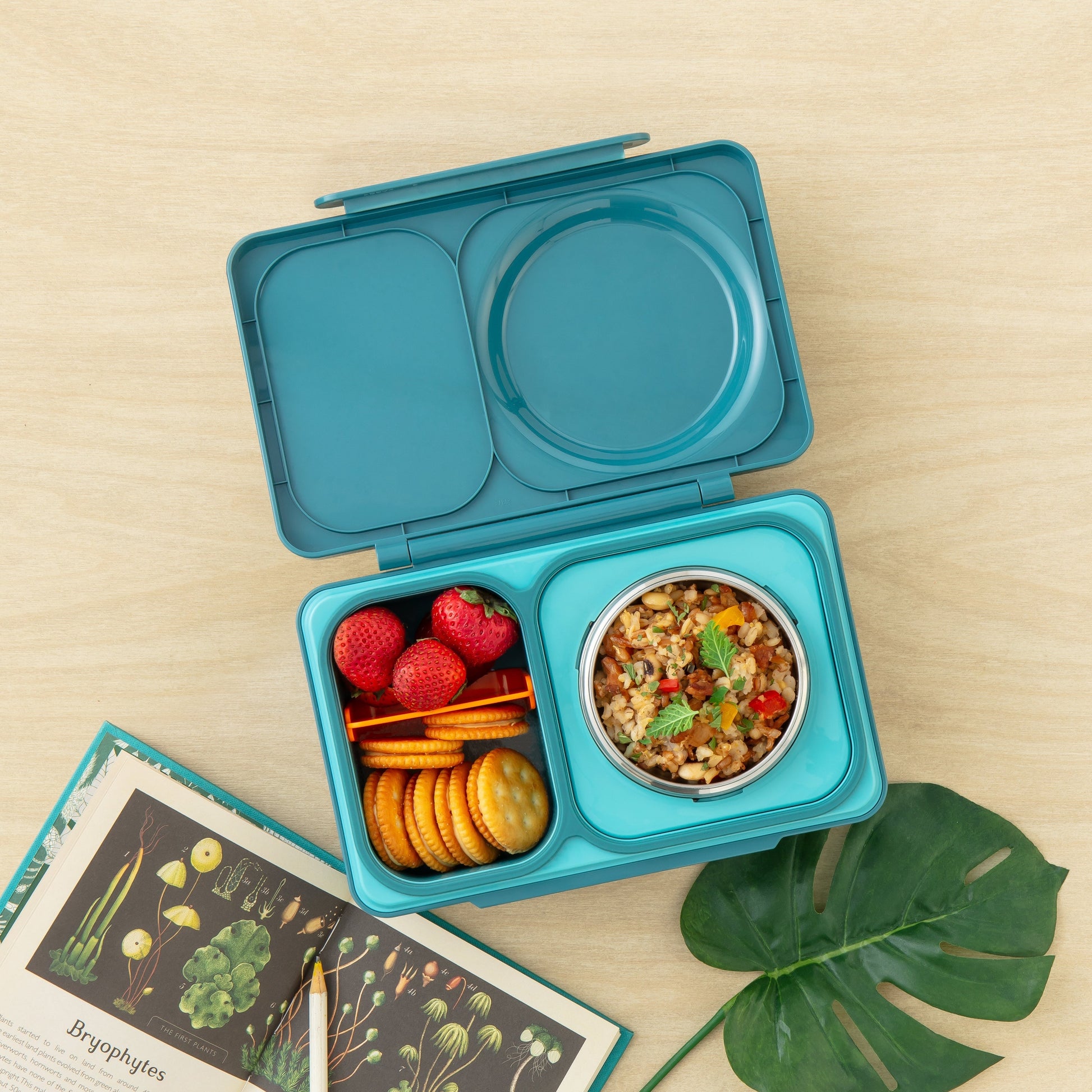 OmieBox UP - Bento Box for Older Kids & Adults-Lunch Boxes & Totes-OmieLife-Yes Bebe