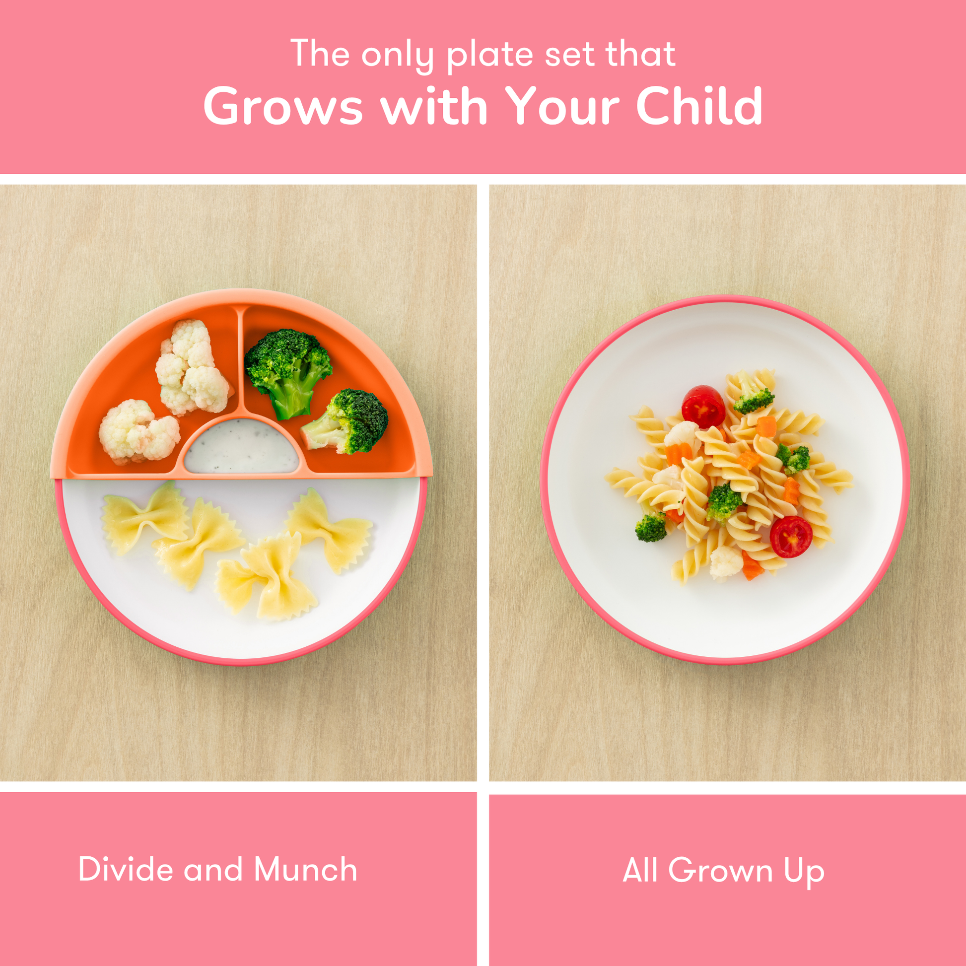 Children's plate set with different stages of food division on a wooden surface.
