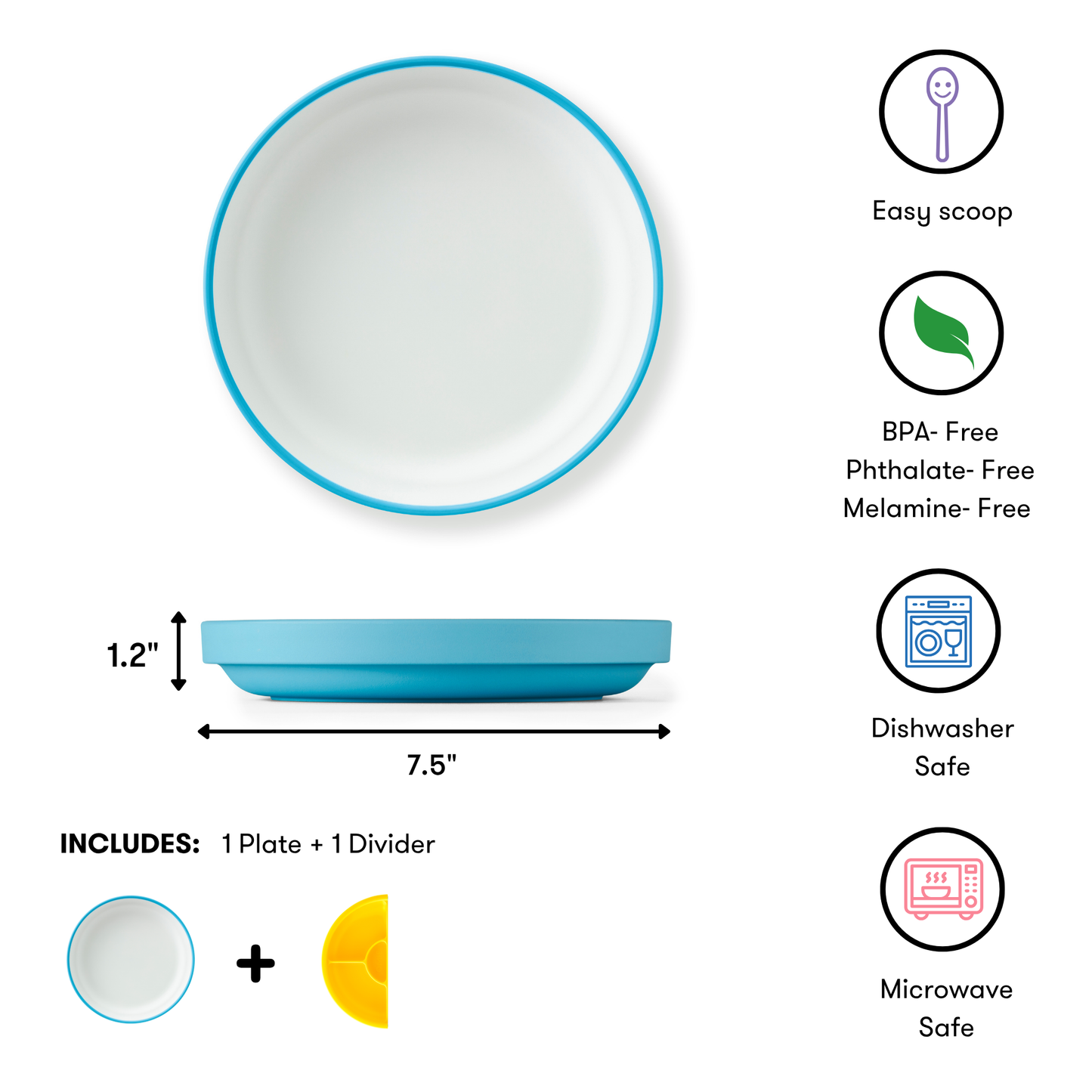 White plate with blue rim and features on a white background